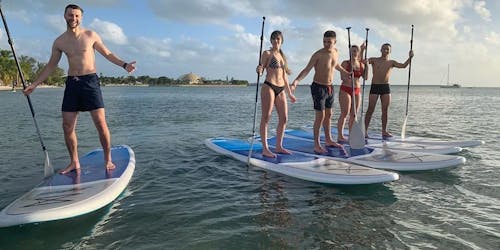 1-hour Stand Up Paddleboard rental in Miami – 4 people